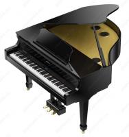 Пианино Roland GP609-PE