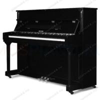 Купите акустическое пианино Becker CBUP-121PB-2 в PIANO44.RU