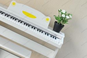 Artesia FUN-1 детское цифровое фортепиано