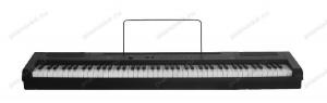 Купите Artesia PA-88H цифровое фортепиано в PIANO44.RU