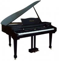 Купите цифровой рояль Ringway GDP6320 Polish Black в интернет-магазине piano44.ru