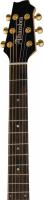 6 струнная гитара Alhambra AJ-SM E9