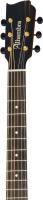 6 струнная гитара Alhambra A00-SkSp E9