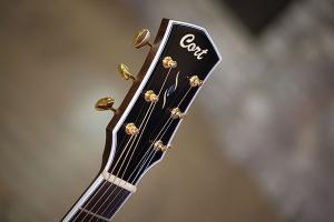 Купить новую гитару Cort Gold-OC8