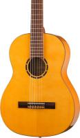 Купить классическую гитару Ortega R170F Family Series Pro